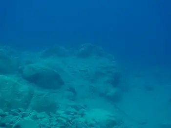 Dive Site