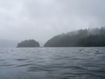 Dive Site