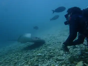 Sting Ray and Diver