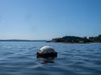 Dive Site