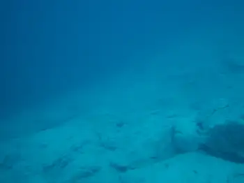 Dive Site