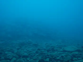 Dive Site