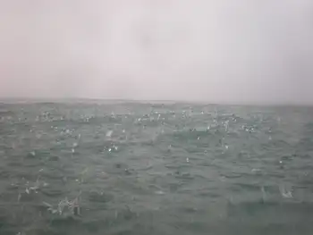 Rain on the Water