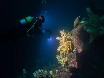 Diver and Cloud Sponge