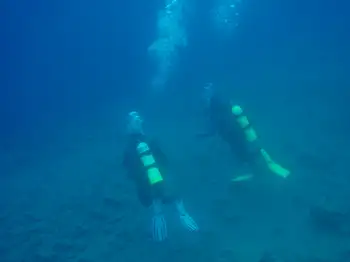 Divers