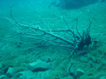 Dive Site