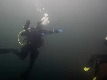 Diver