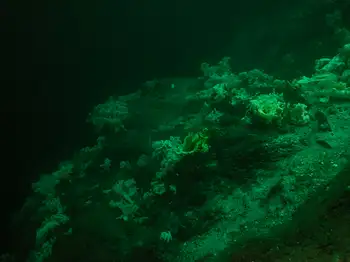 Cloud Sponges