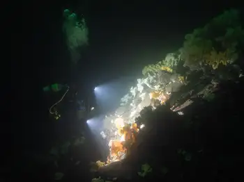 Diver