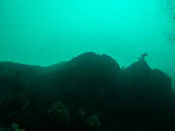 Dive Site