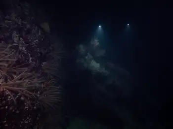 Dive Site