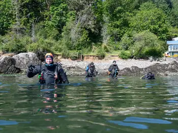 Divers