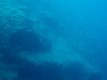 Dive Site