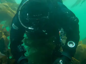 Diver