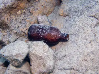 Dive Site