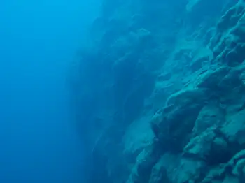 Dive Site