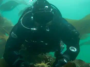 Diver