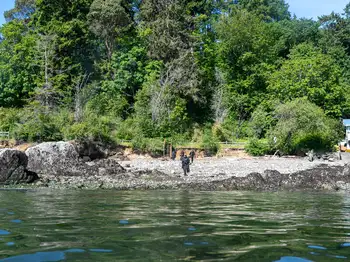 Dive Site