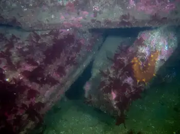 Bridge Wreck