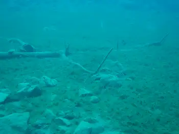 Dive Site