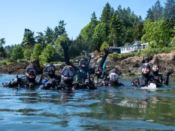 Divers